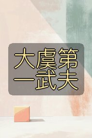 大虞第一武夫封面