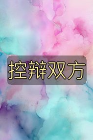 控辩双方封面
