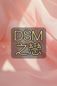 DSM之戀封面