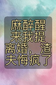 麻醉醒来我提离婚，渣夫悔疯了封面