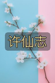 许仙志封面