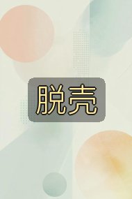 脱壳封面
