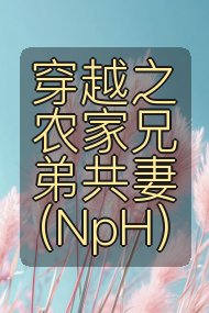 穿越之农家兄弟共妻（NpH）封面