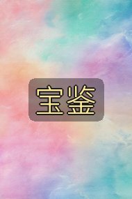 宝鉴封面