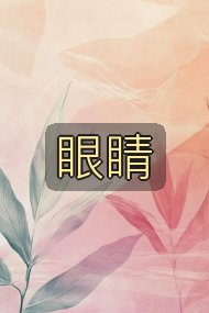 眼睛封面